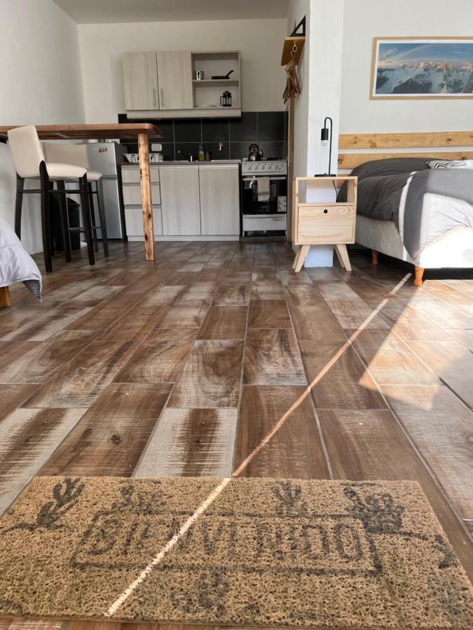 Chalten Mountain Lofts 4 厄尔查尔坦 外观 照片